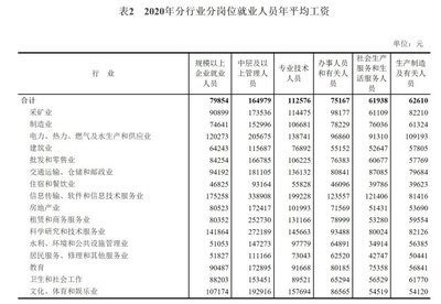 軟件和信息技術服務業投資與管理 以2020年全國規上企業薪資增長為鏡