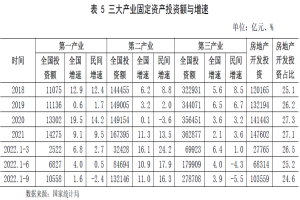 民間投資增速逐月放緩的原因及軟件和信息技術服務業的投資與管理分析
